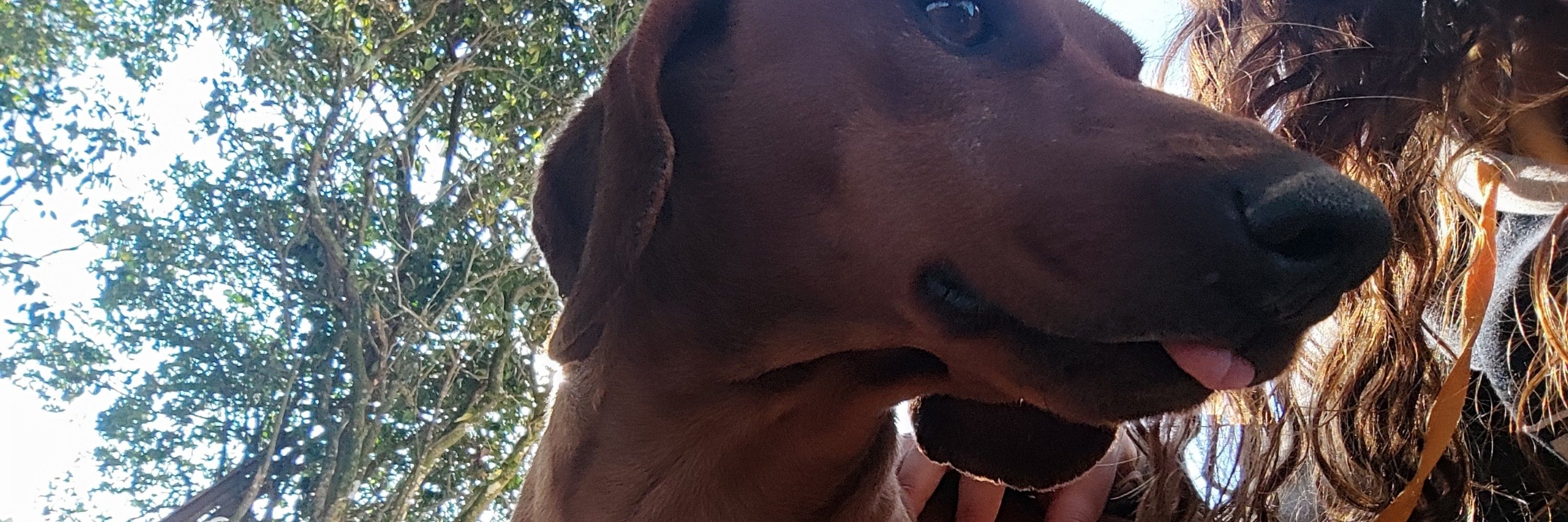 🔆