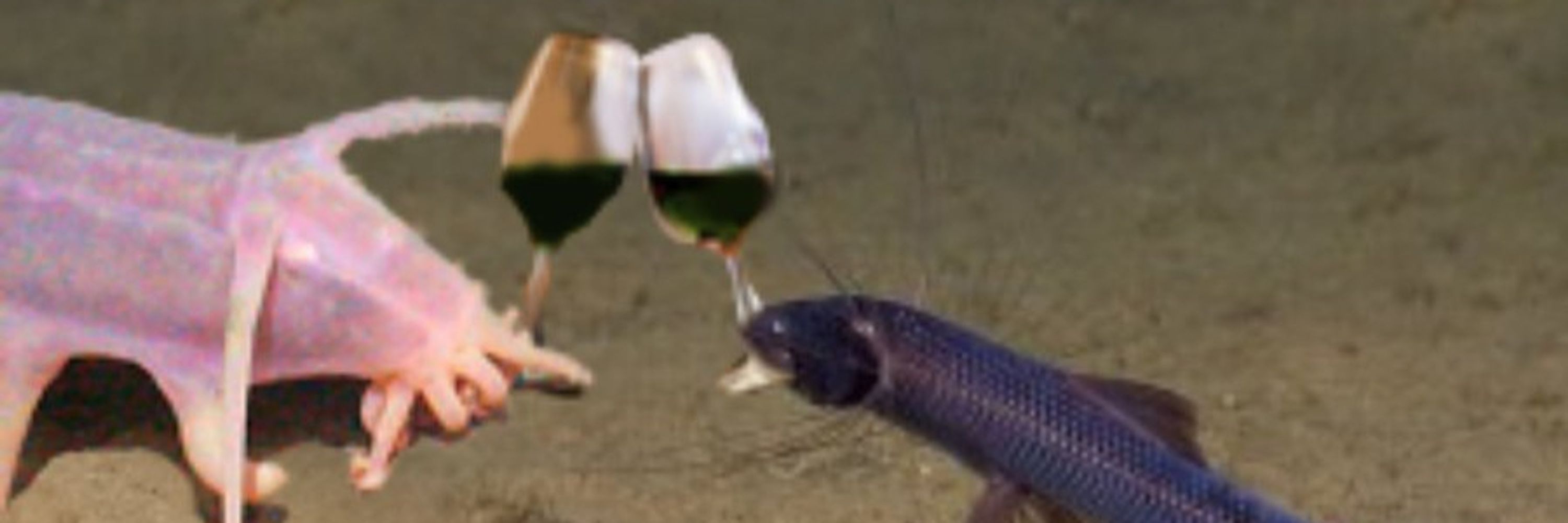 Its been one of those weeks🥂 