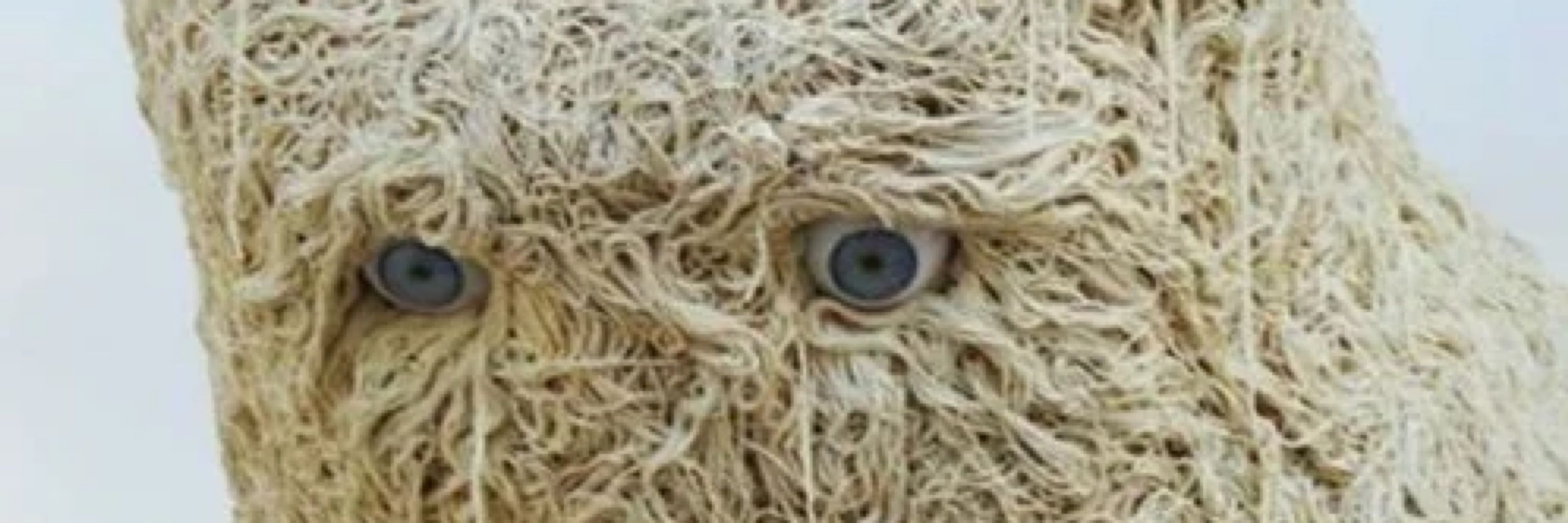 PapaPasta