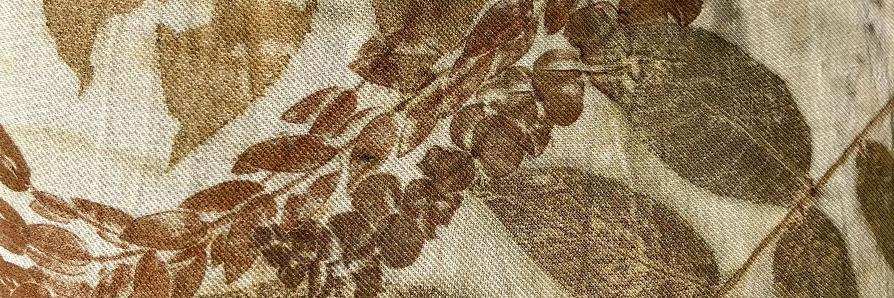 Found and Foraged Fibers