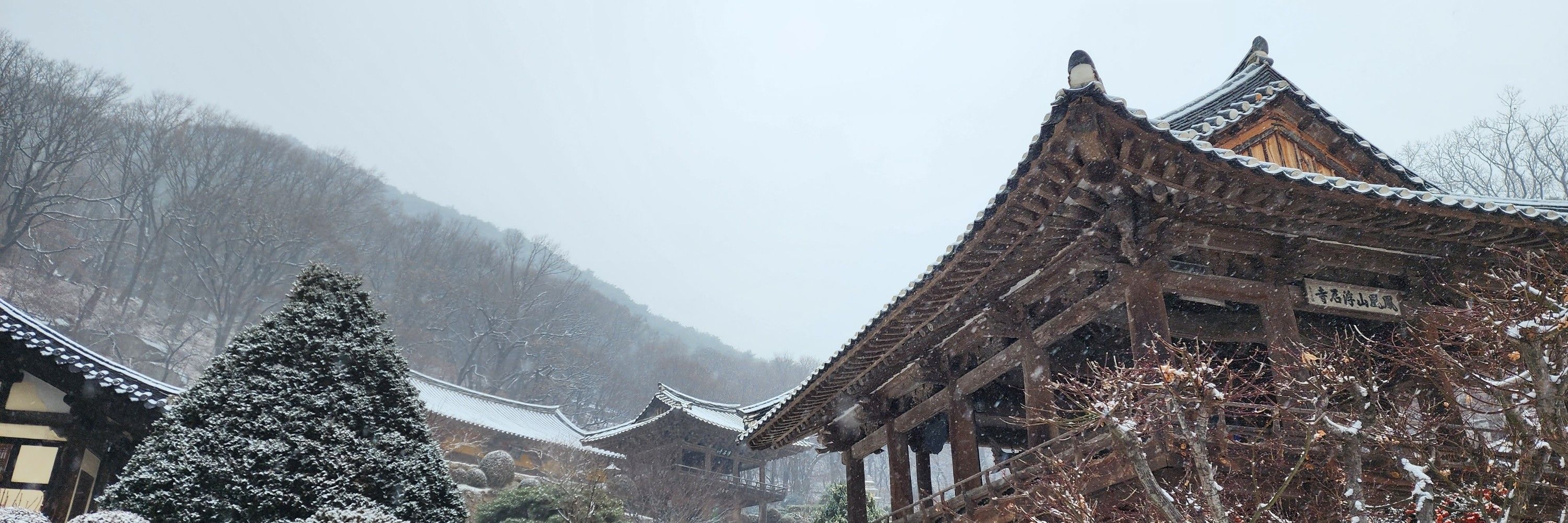 암자선생