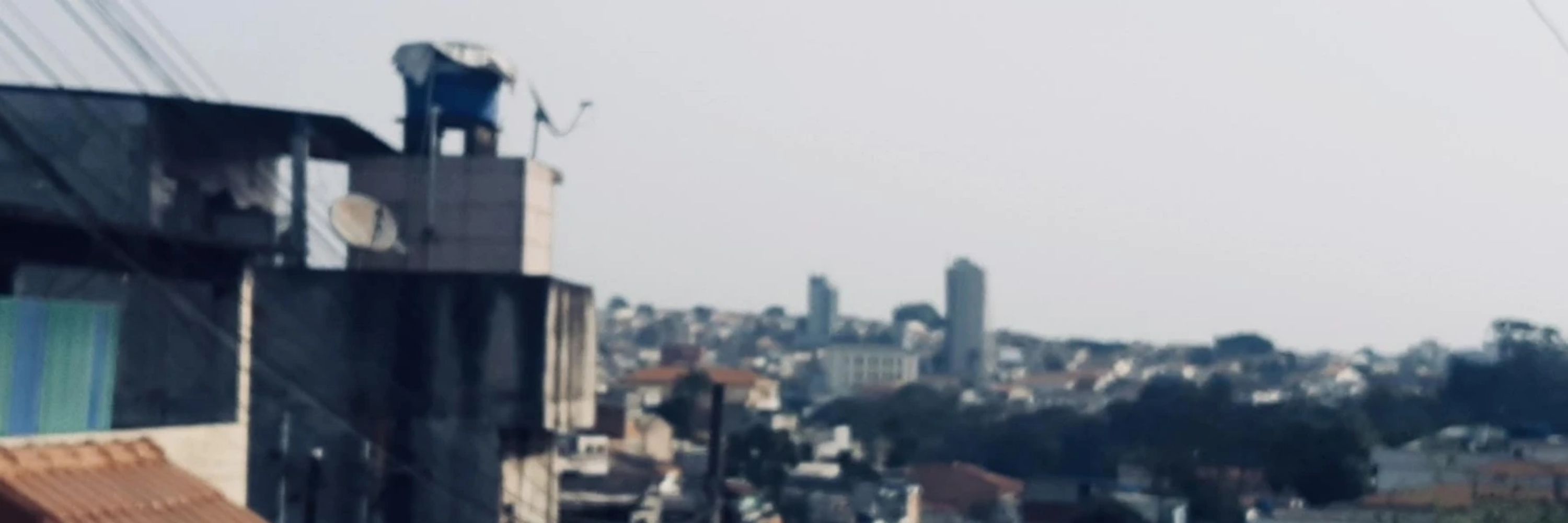 tatinha 