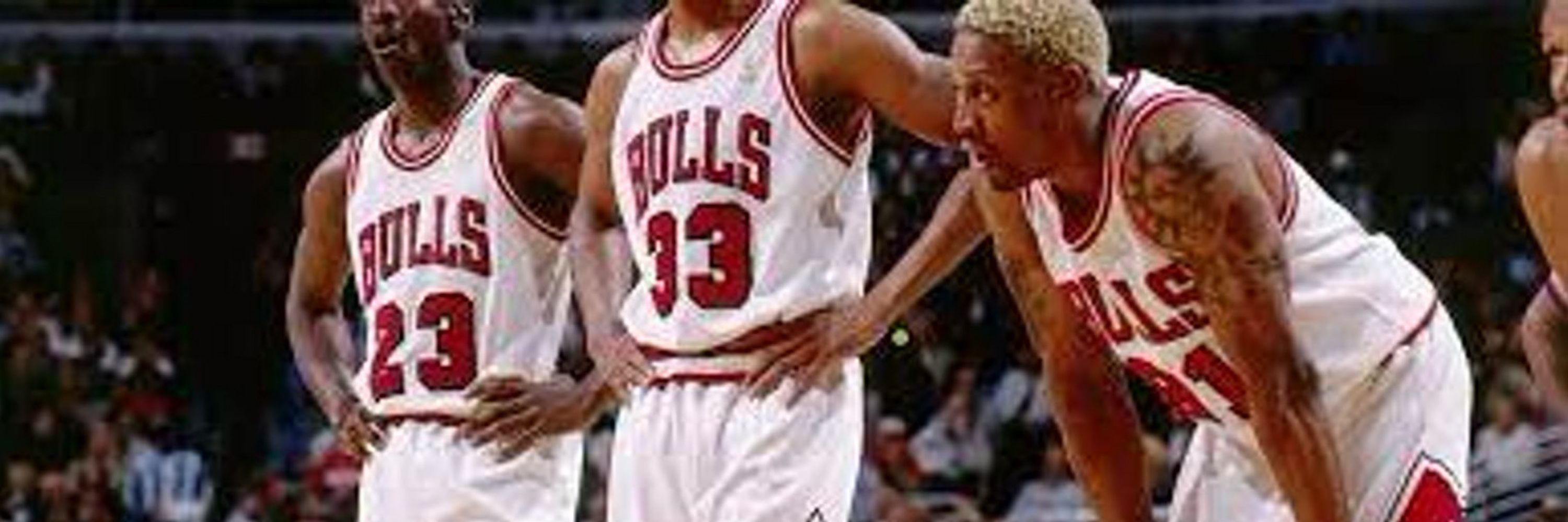 goat 🐐