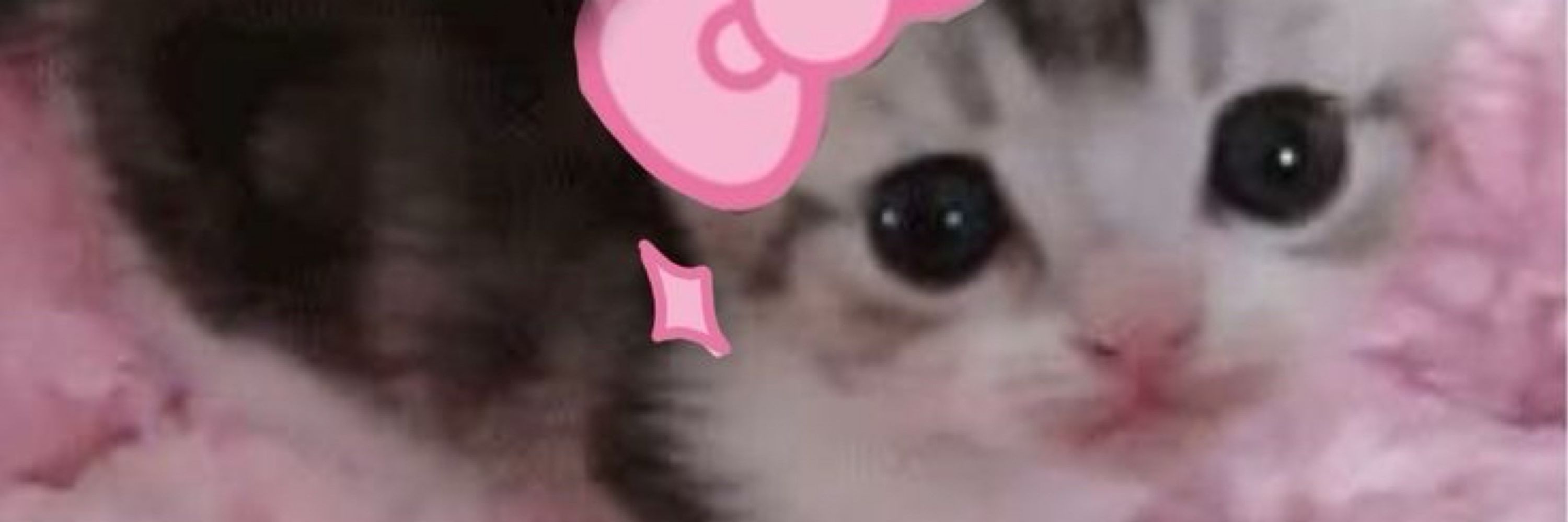 𝑨+