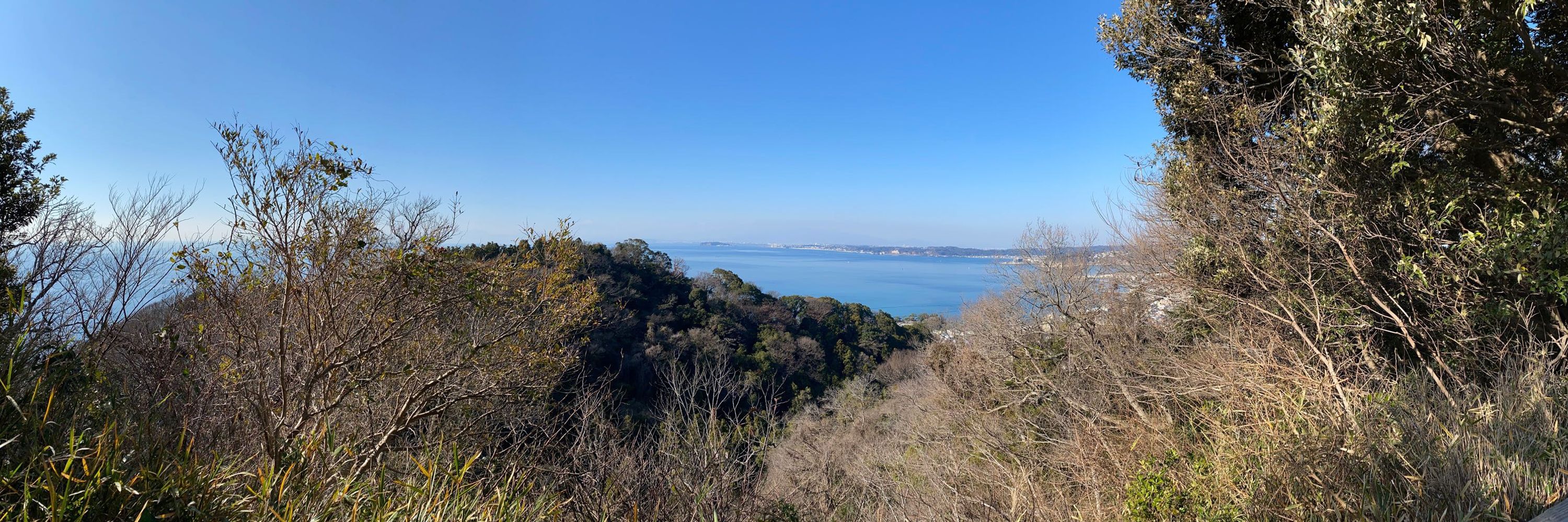あおた