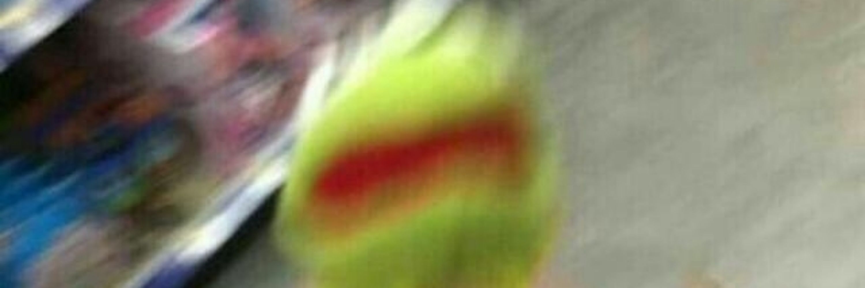 PMFrog