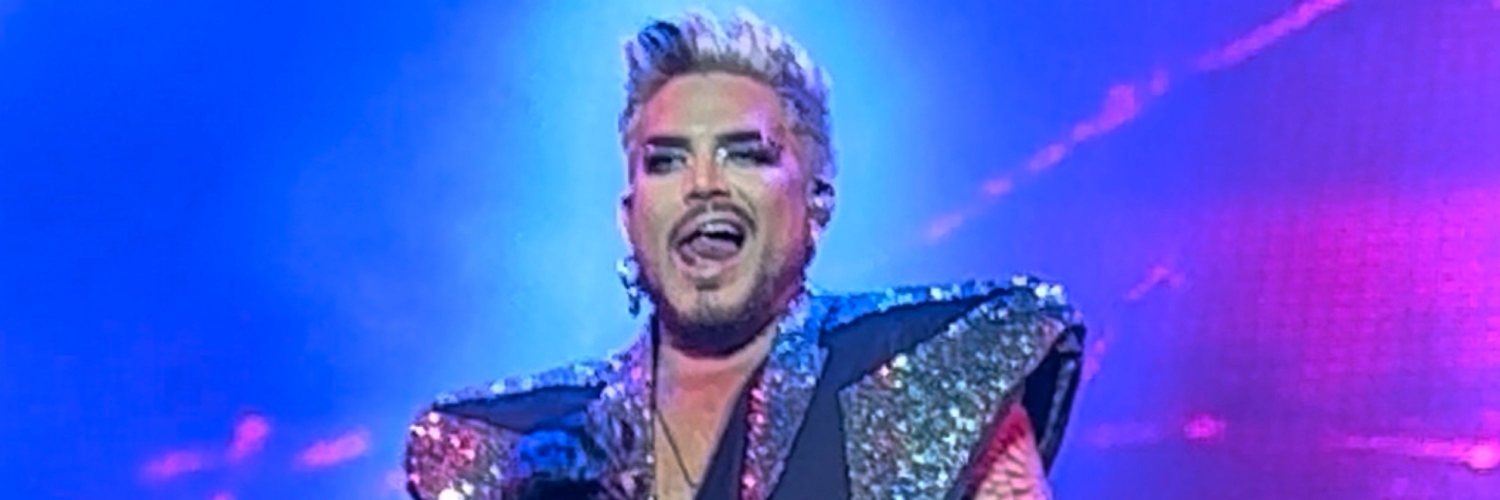 Bee Glambert