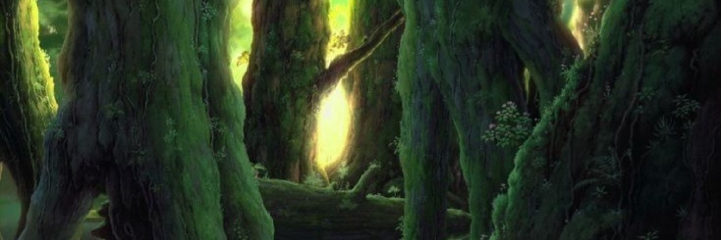 ✧･ﾟ.🌱𝑨𝒍𝒌𝒂🐉𝑫𝒓𝒂𝒌𝒌𝒐𝒓𝒏🌱*✧･ﾟ