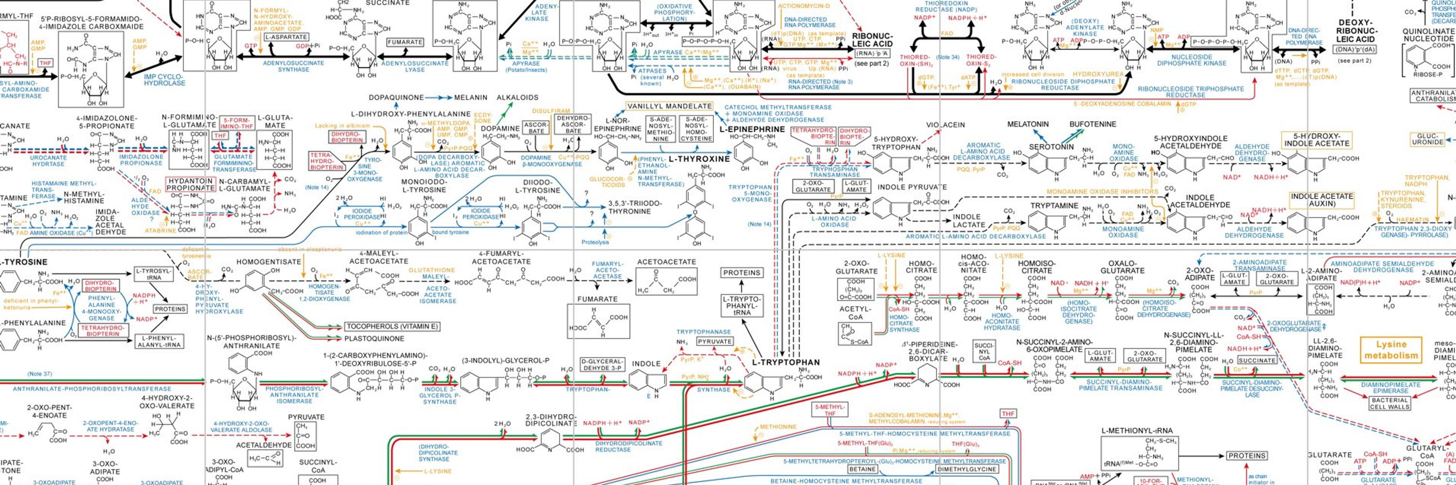 Andrew | Biochemistry of Long Covid