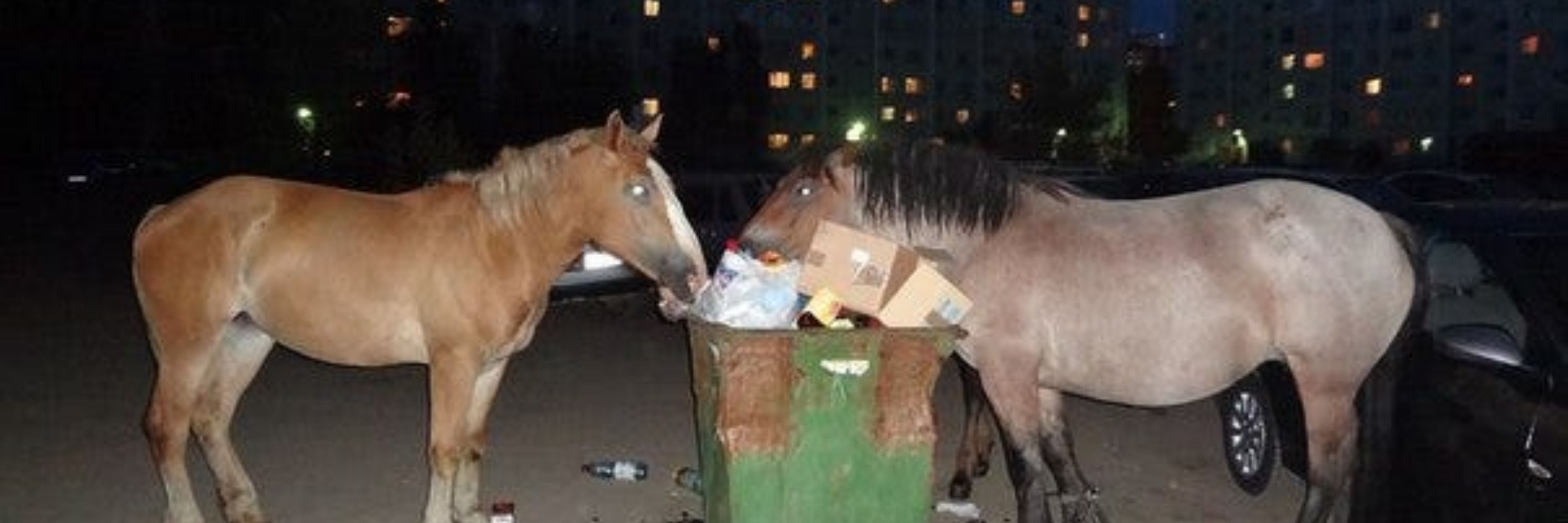 image search result for "the wretch"