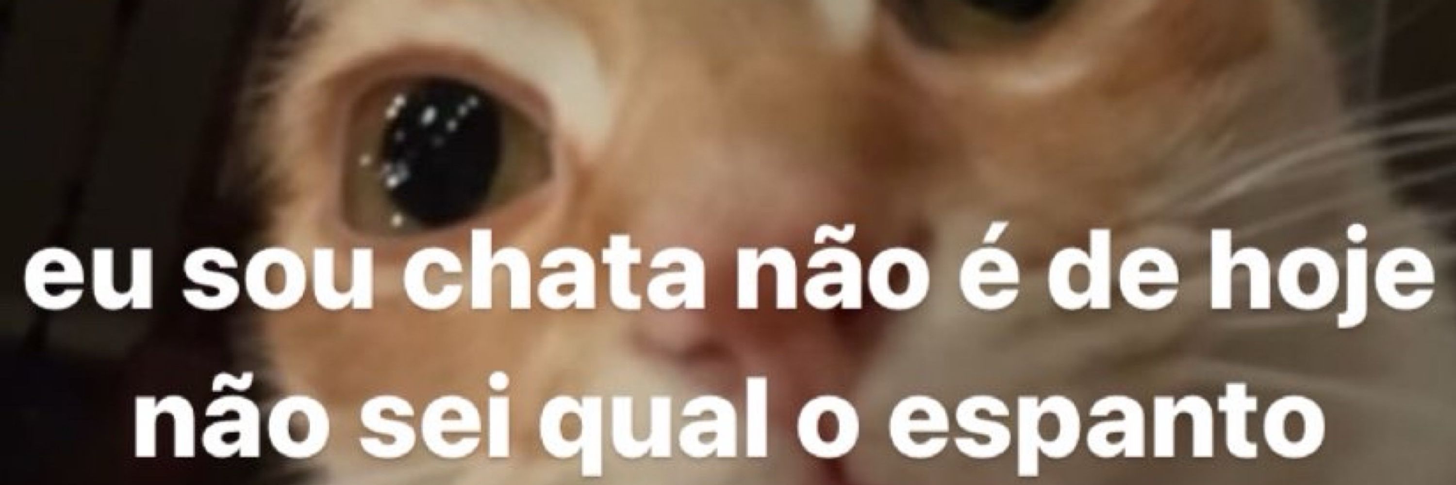 rataela 