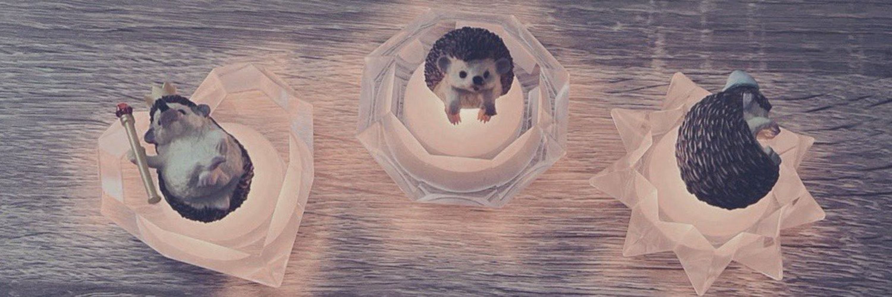 waon🐶🐾