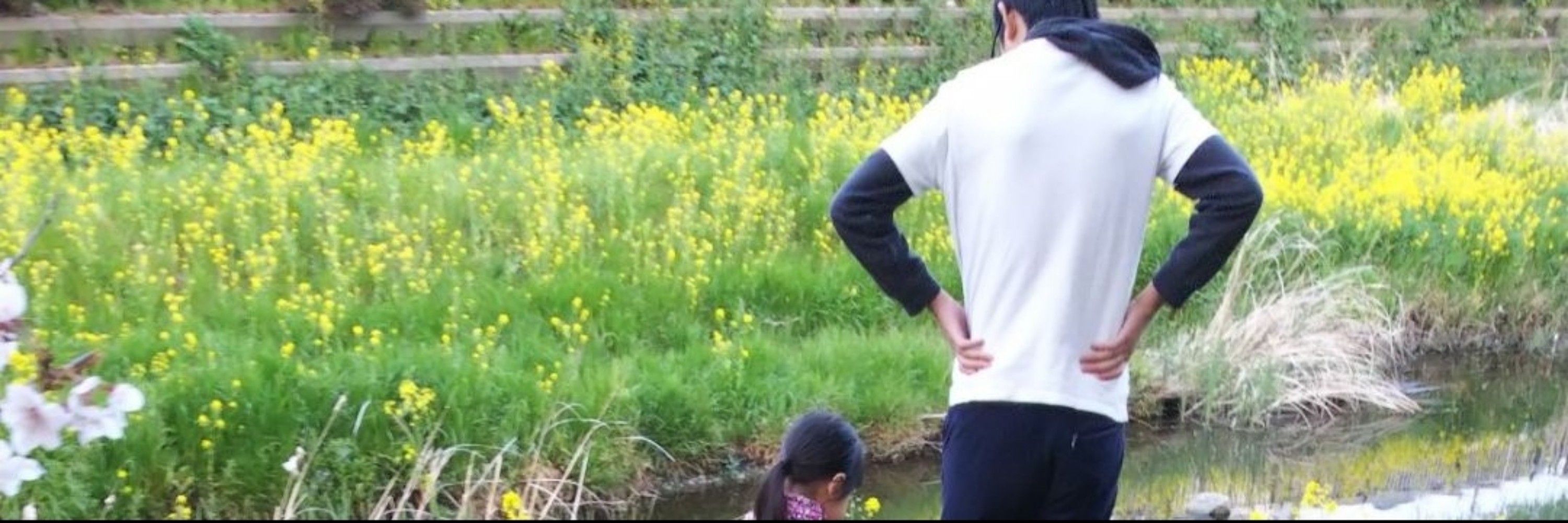 しんら