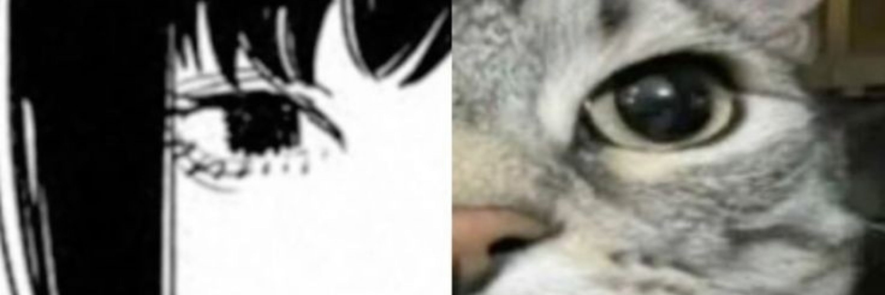 aeyasi