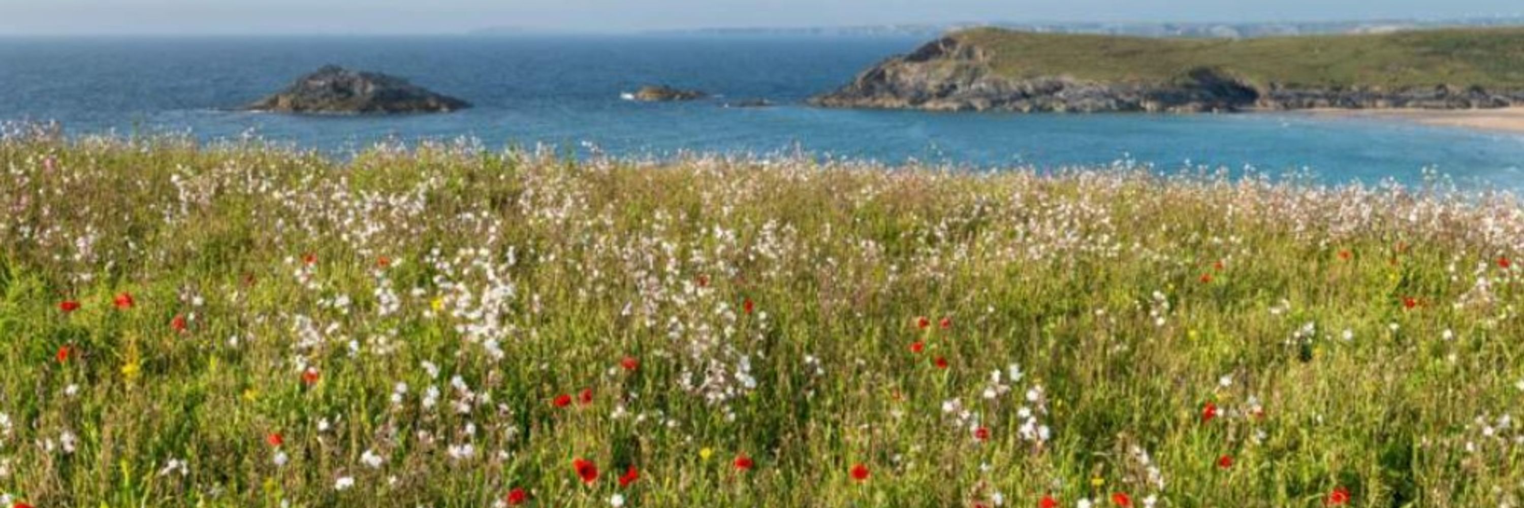LJMU Biodiversity & Conservation