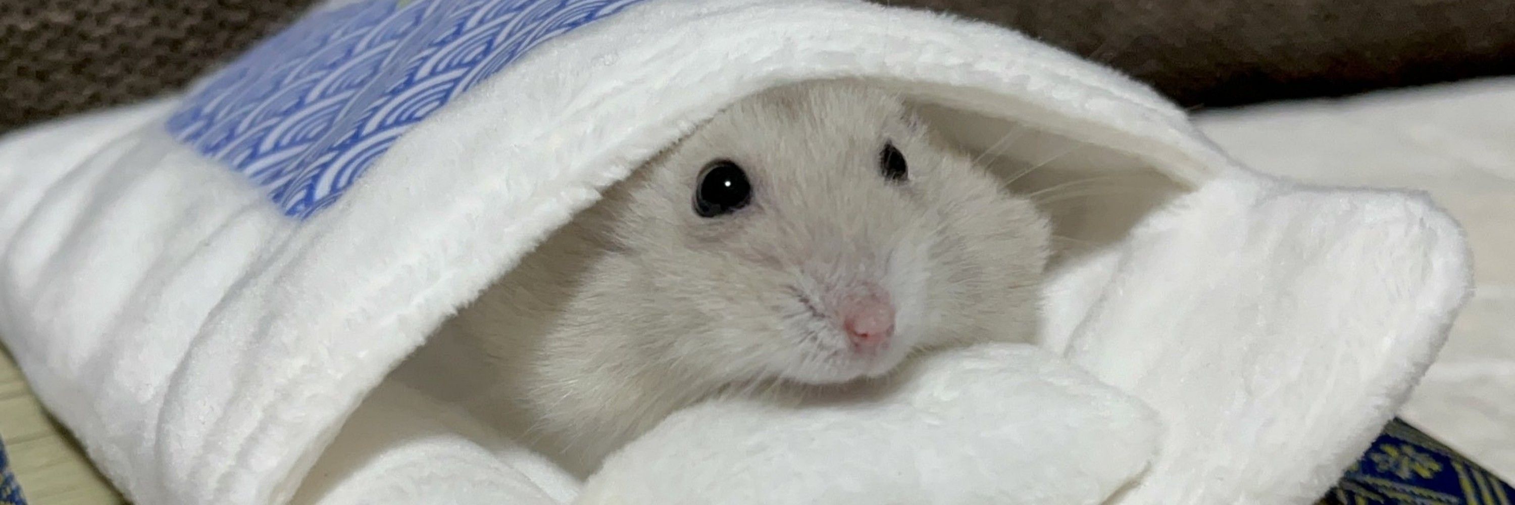 オルクボルグ