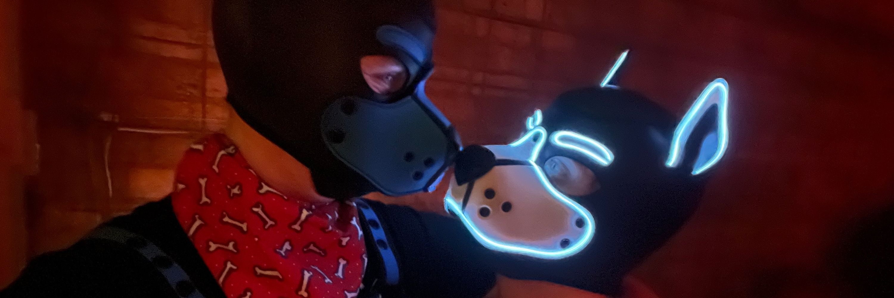 Tuko