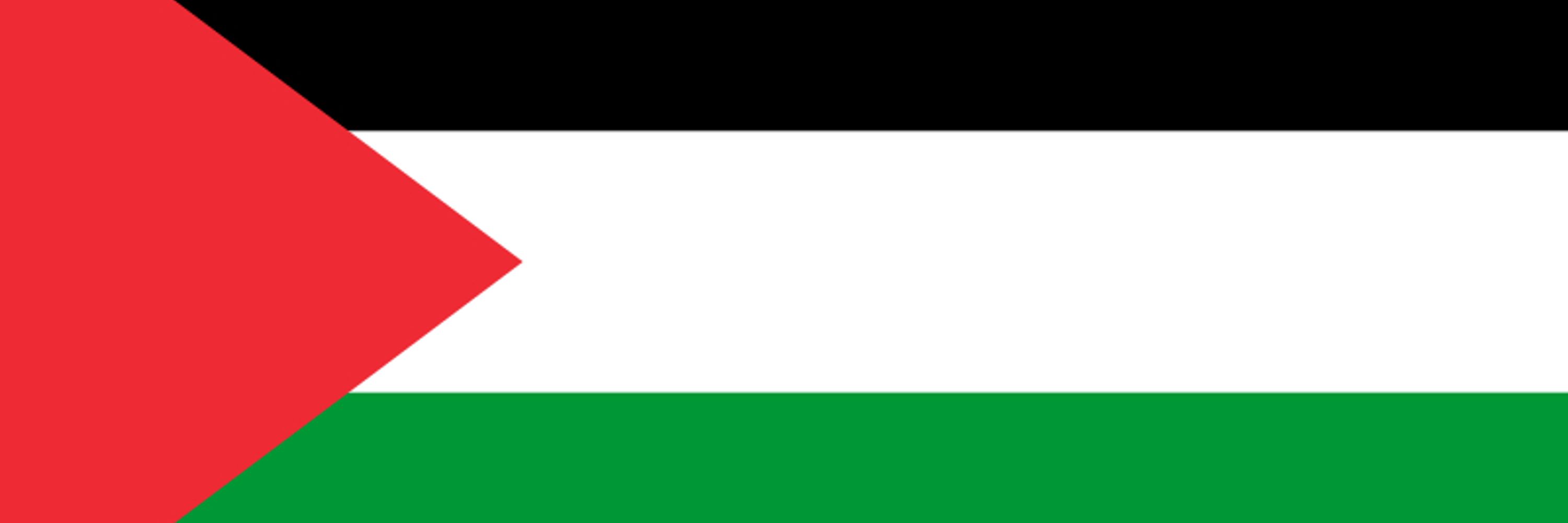 Fitzél 🇵🇸 🏳️‍🌈