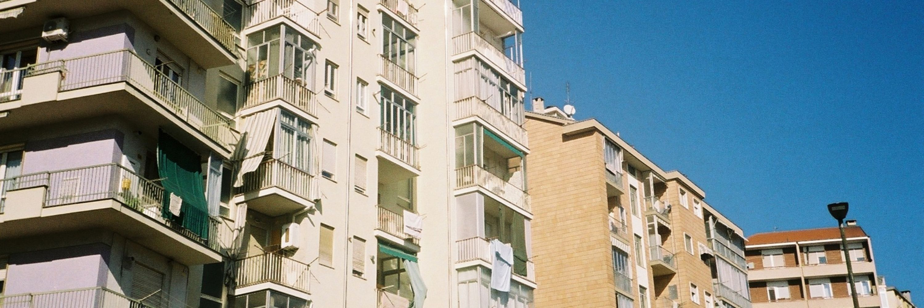 Lidija D.