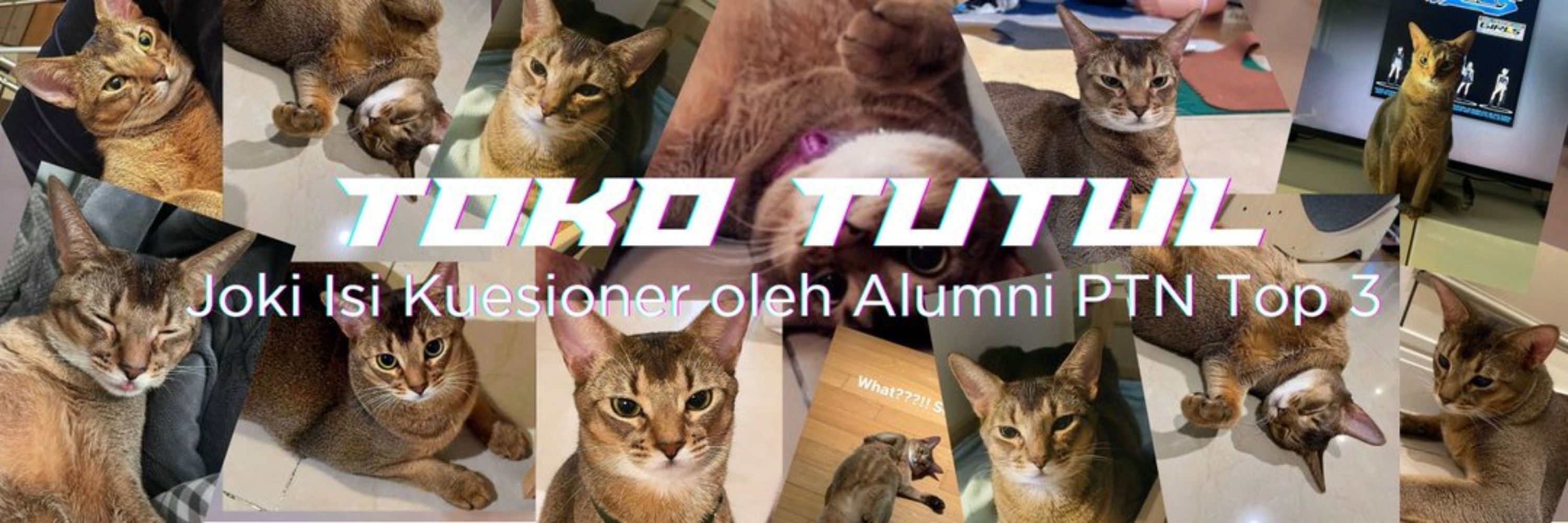 TUTUL Joki Isi Kuesioner by ALUMNI PTN TOP 3