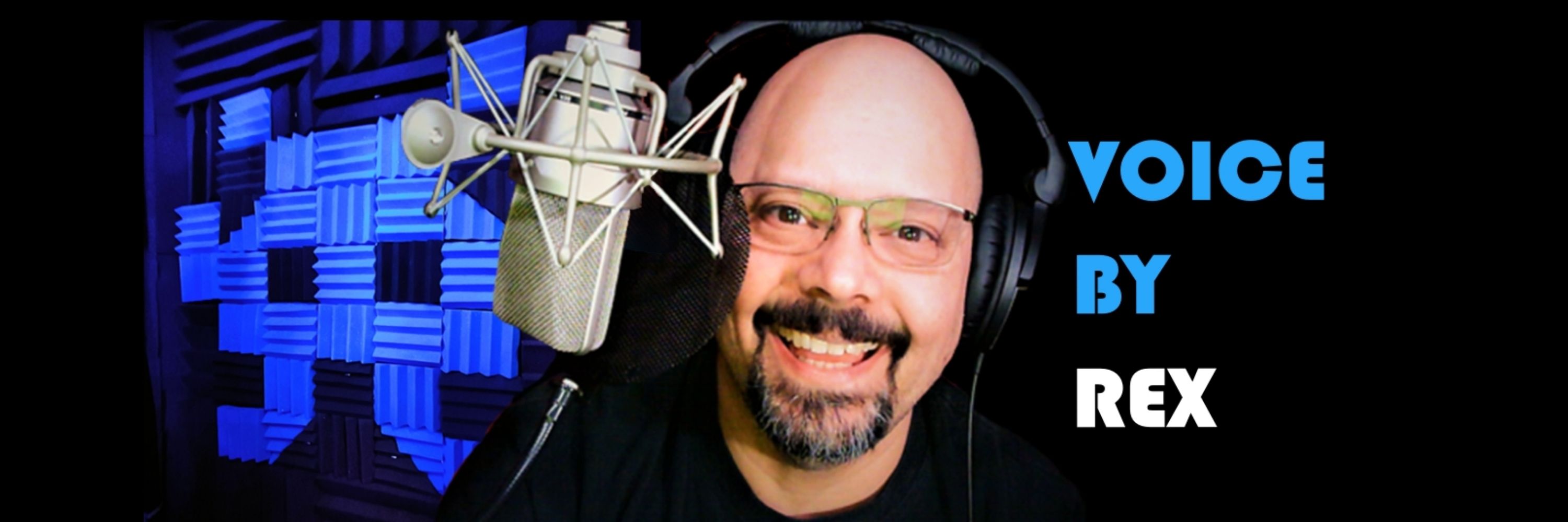 VoiceByRex