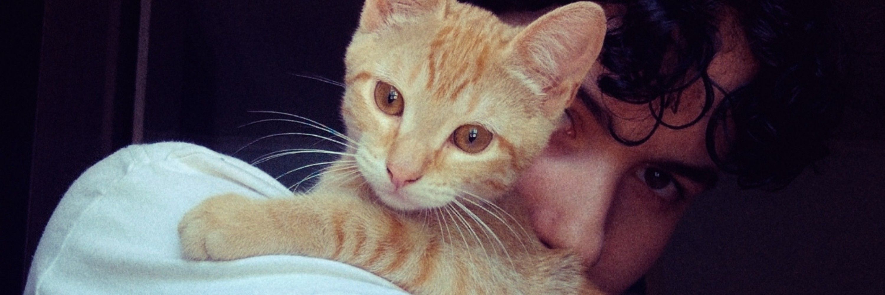 Owen
