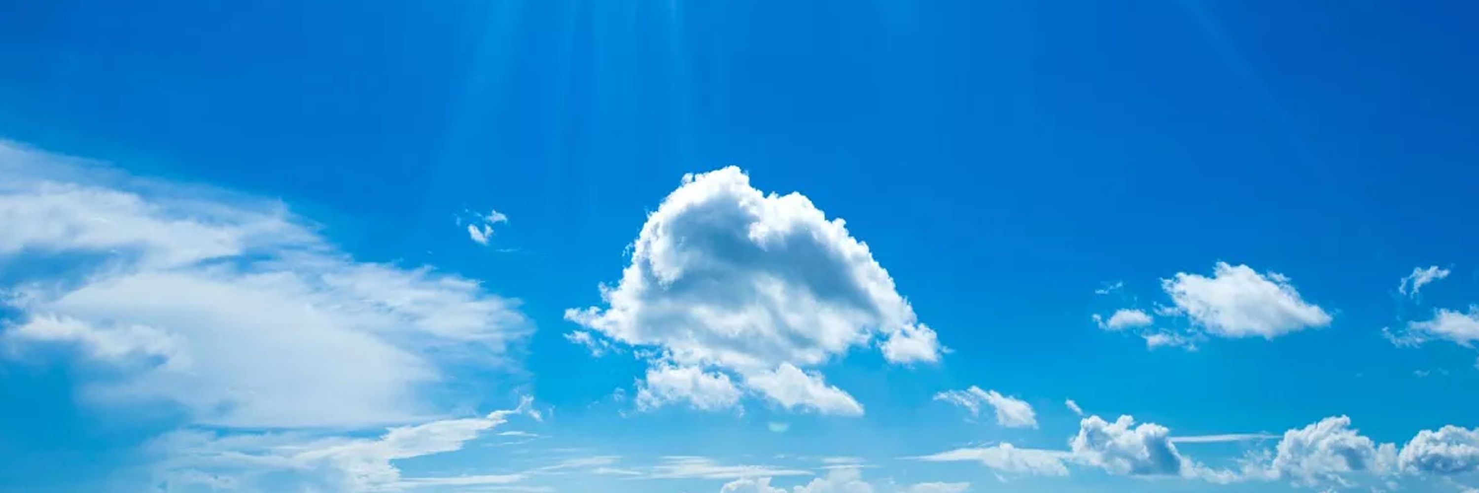 𝘼𝙙𝙖𝙢 𝙅𝙖𝙧𝙚𝙘𝙠𝙞