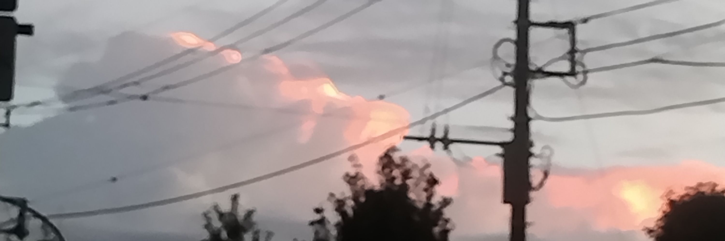 Vii