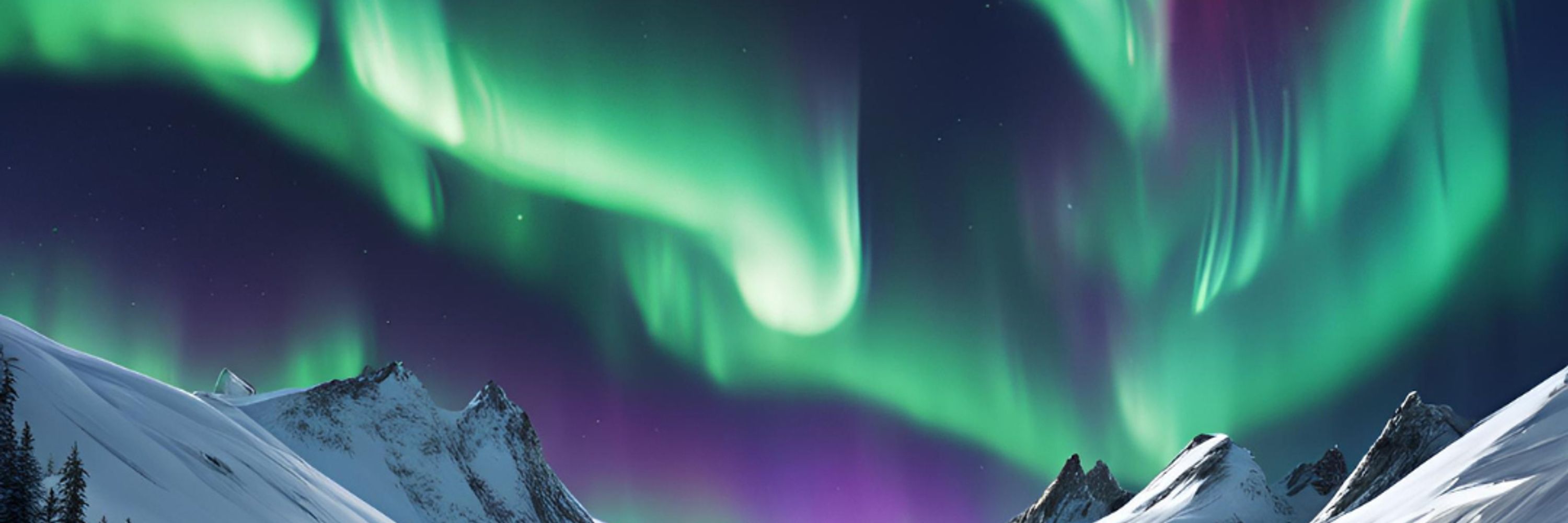 Aurora Forecast