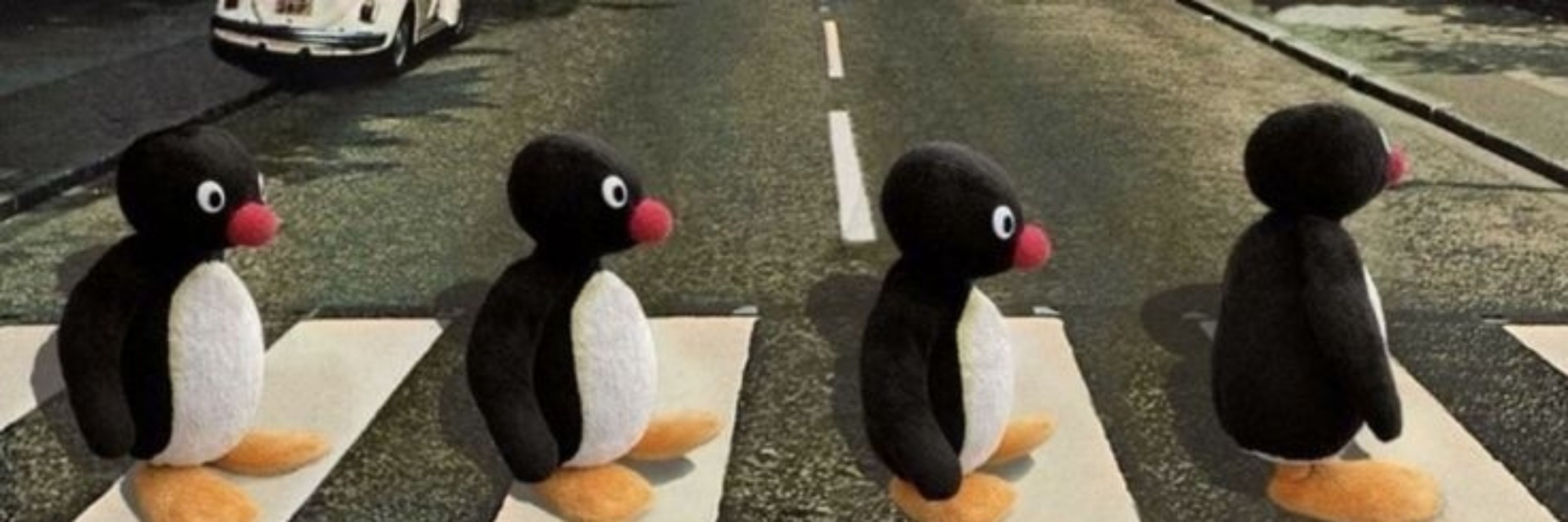 Quack💥 A última maldição da caixa