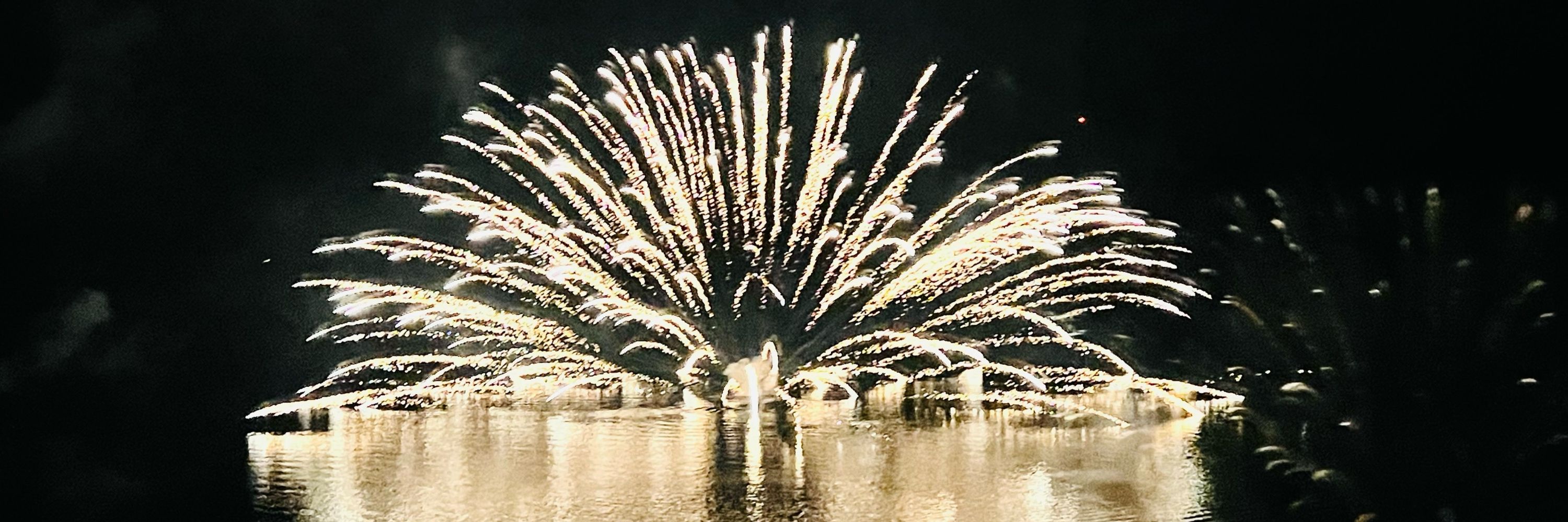 毛玉