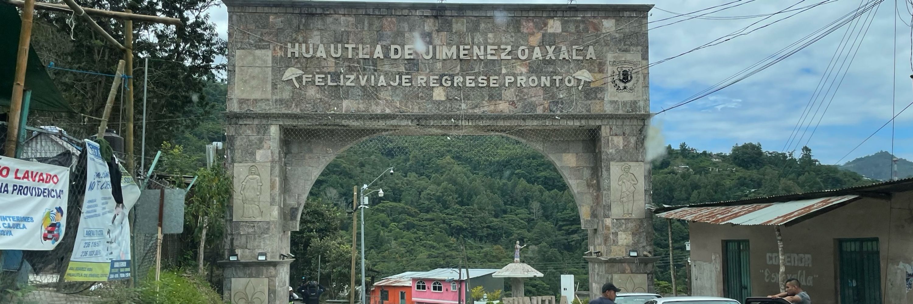 David Avilés