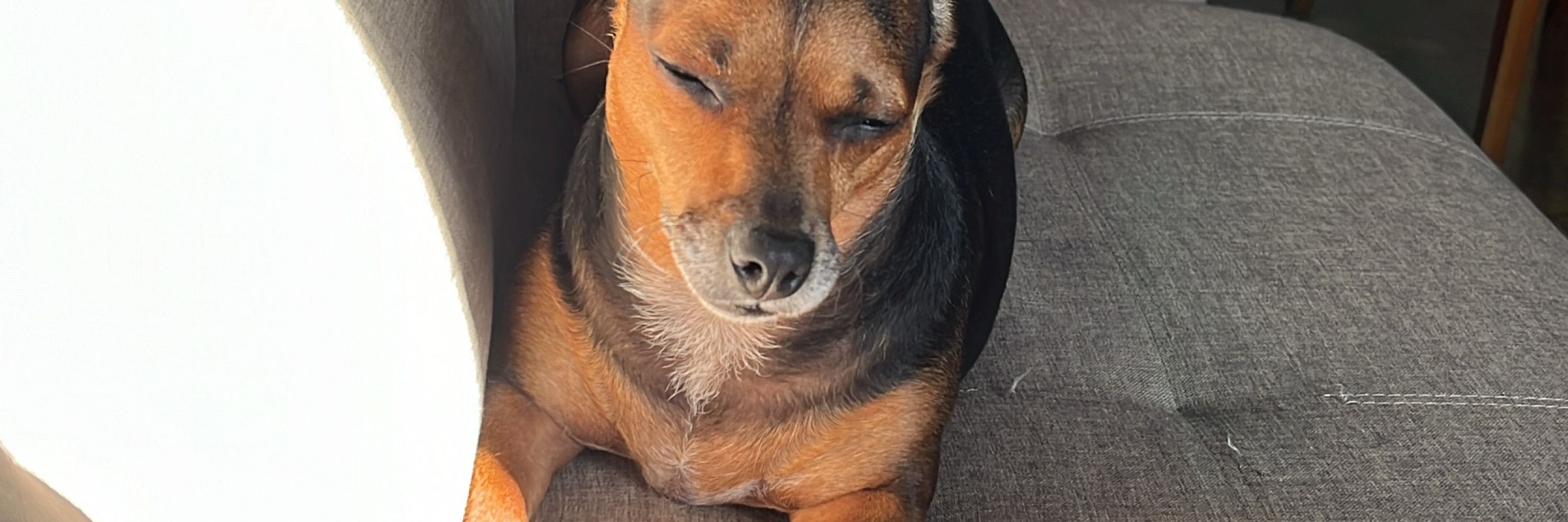 Myri