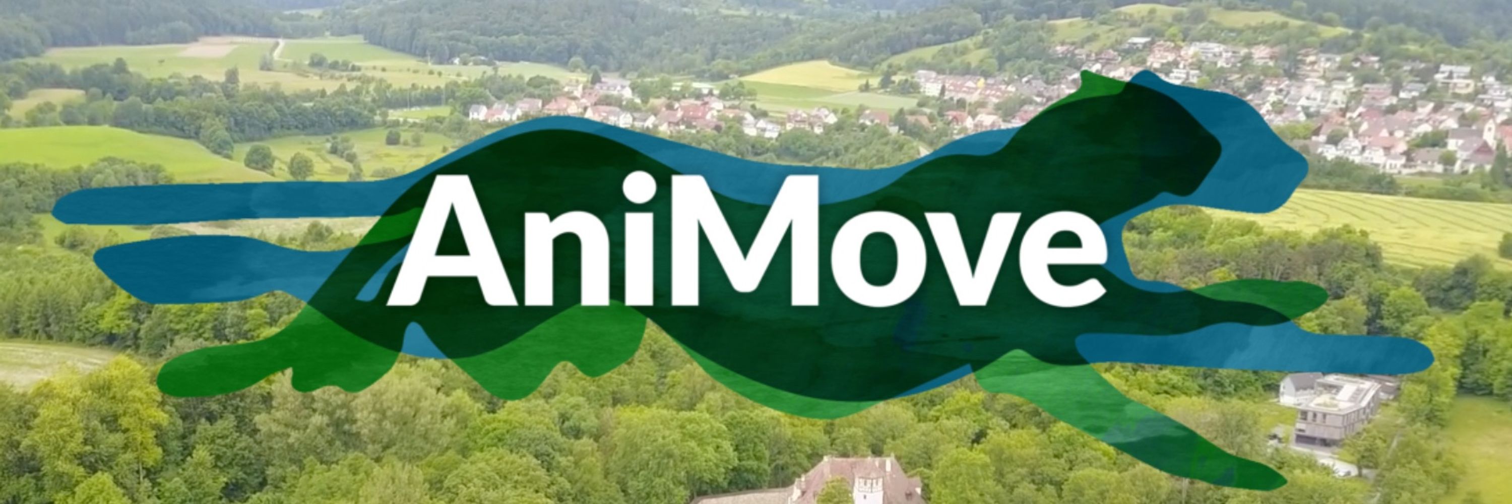 AniMove