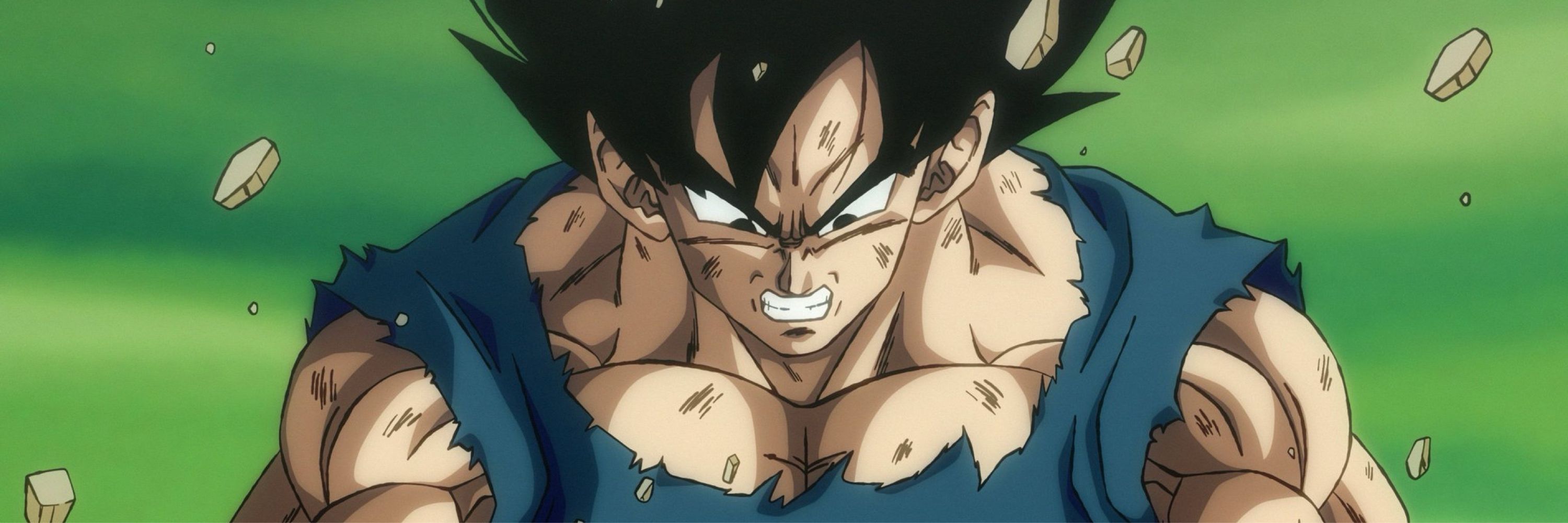 DBZAdmirer