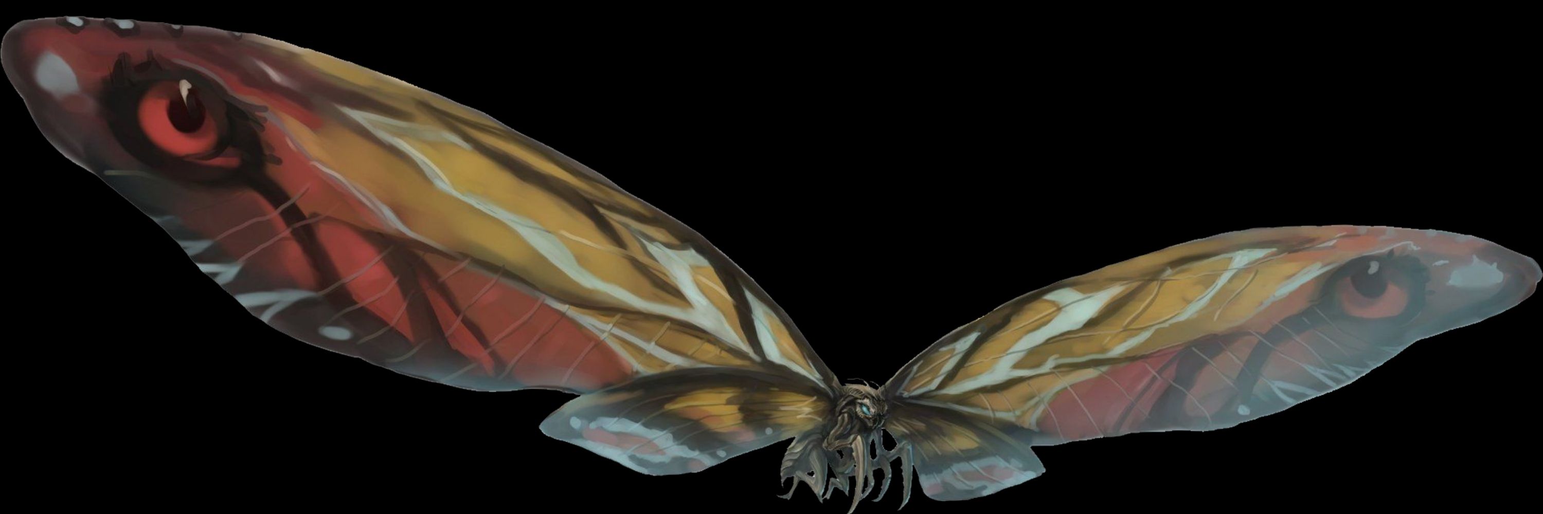 Lilith Nymphalidae