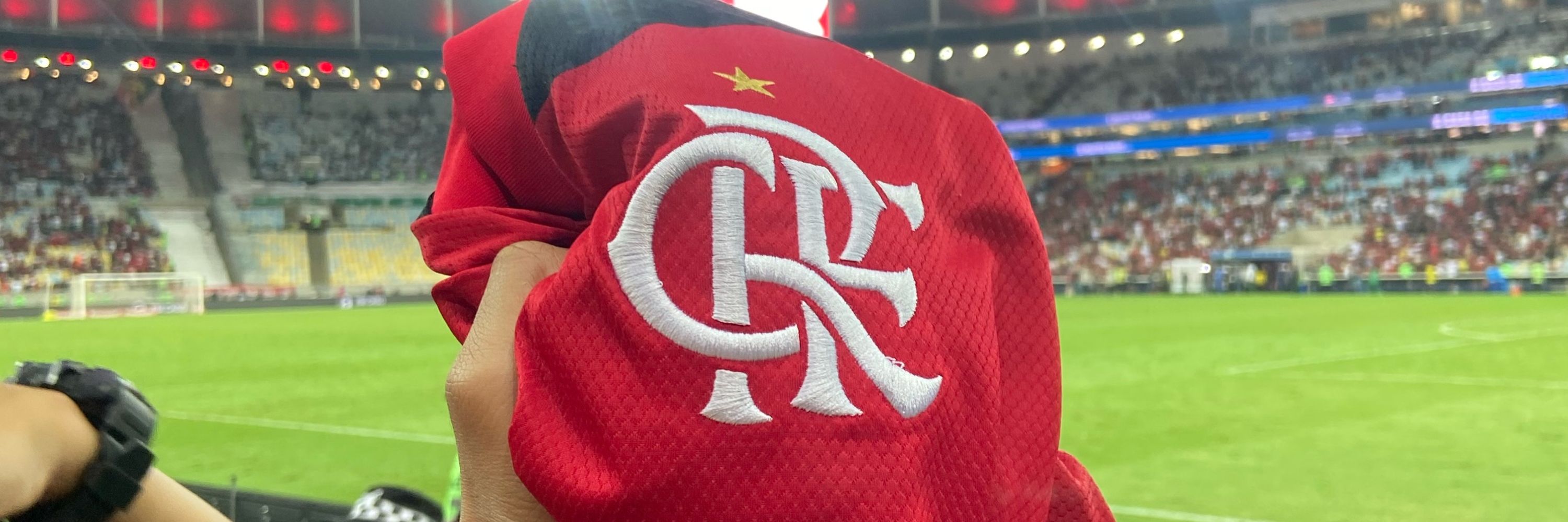 Eduardo Silva ᶜʳᶠ
