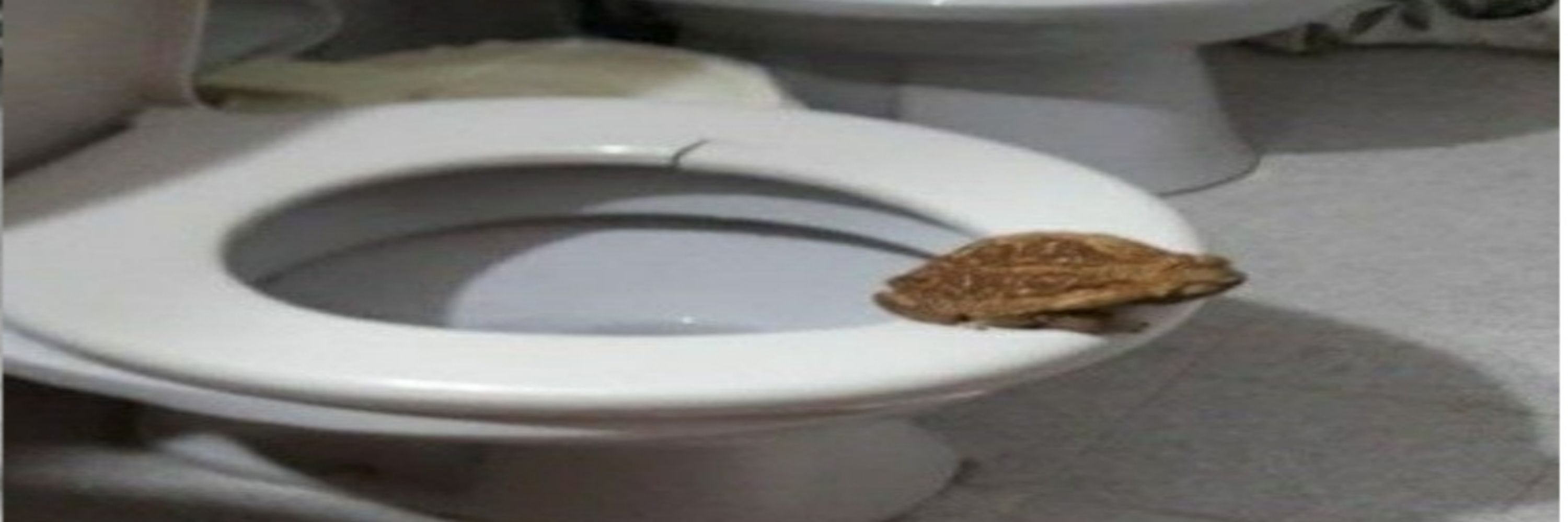 чаш