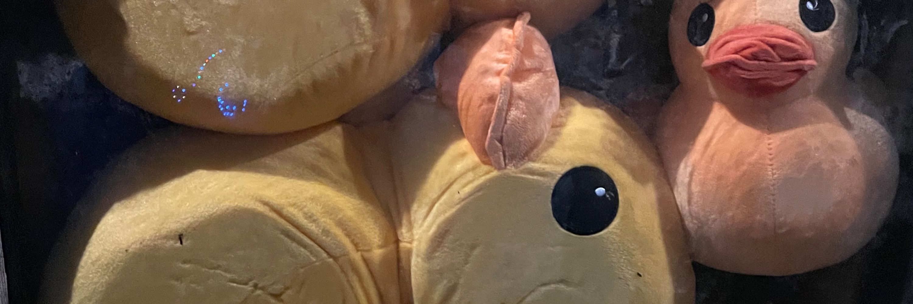 CaddingtonBear