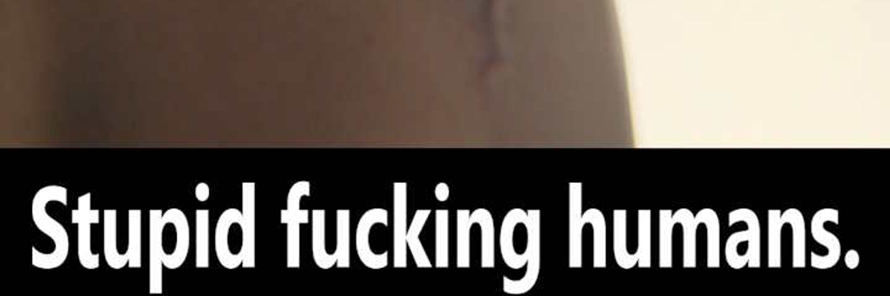 BritSwedeGuy