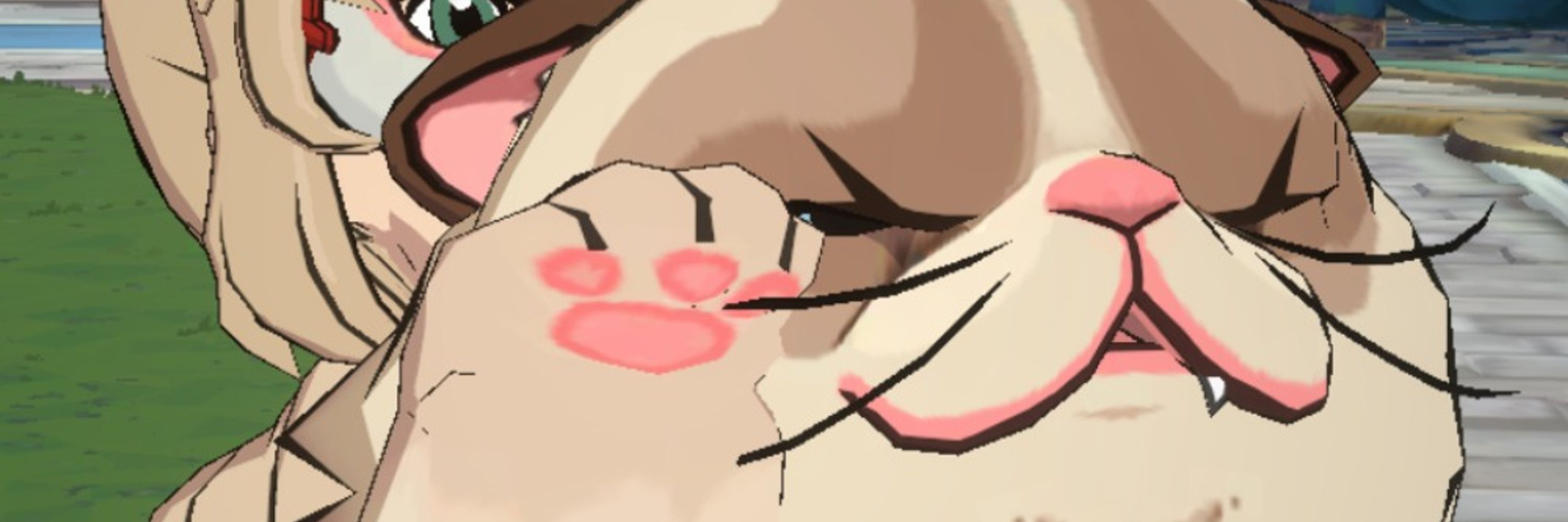 ฅ^•ω•^ฅ