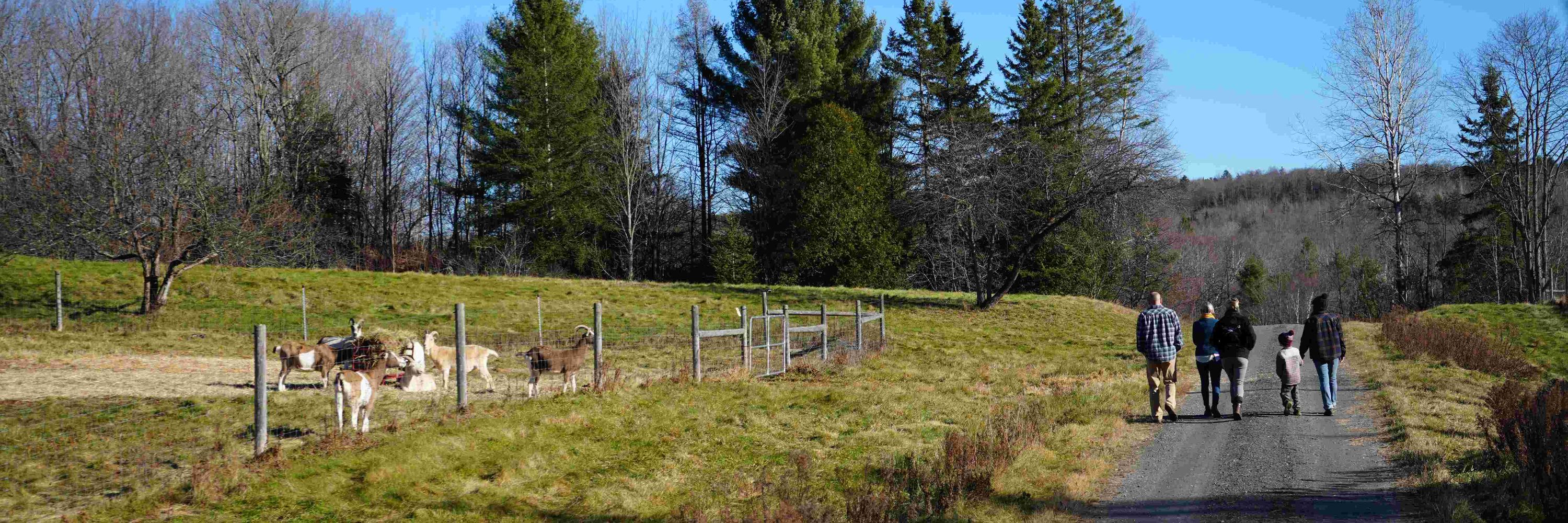 UVM Leahy Institute for Rural Partnerships