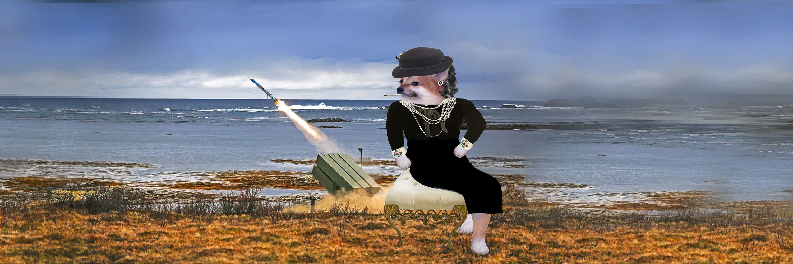 Trønderfella