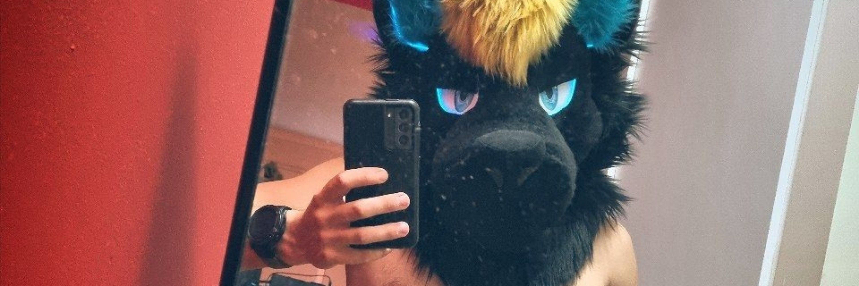 🐺 𝐑𝐞𝐱 𝐢𝐬 🔜 Your Room