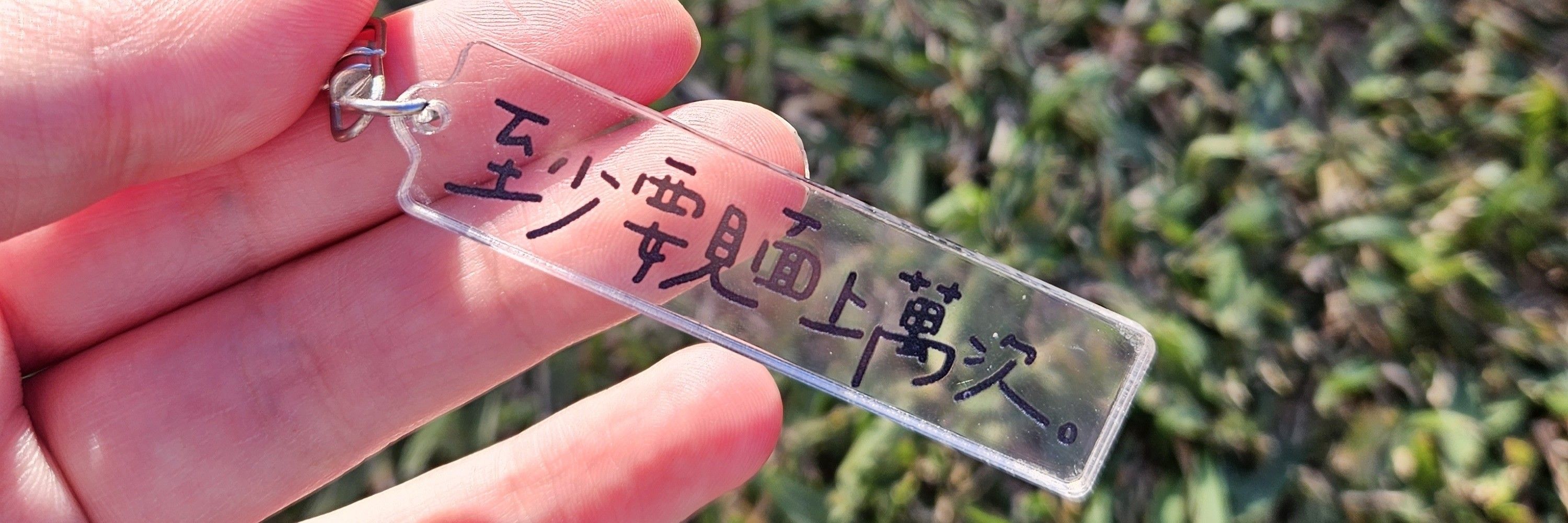 同 Cici 今夜到干諾道中一起訓