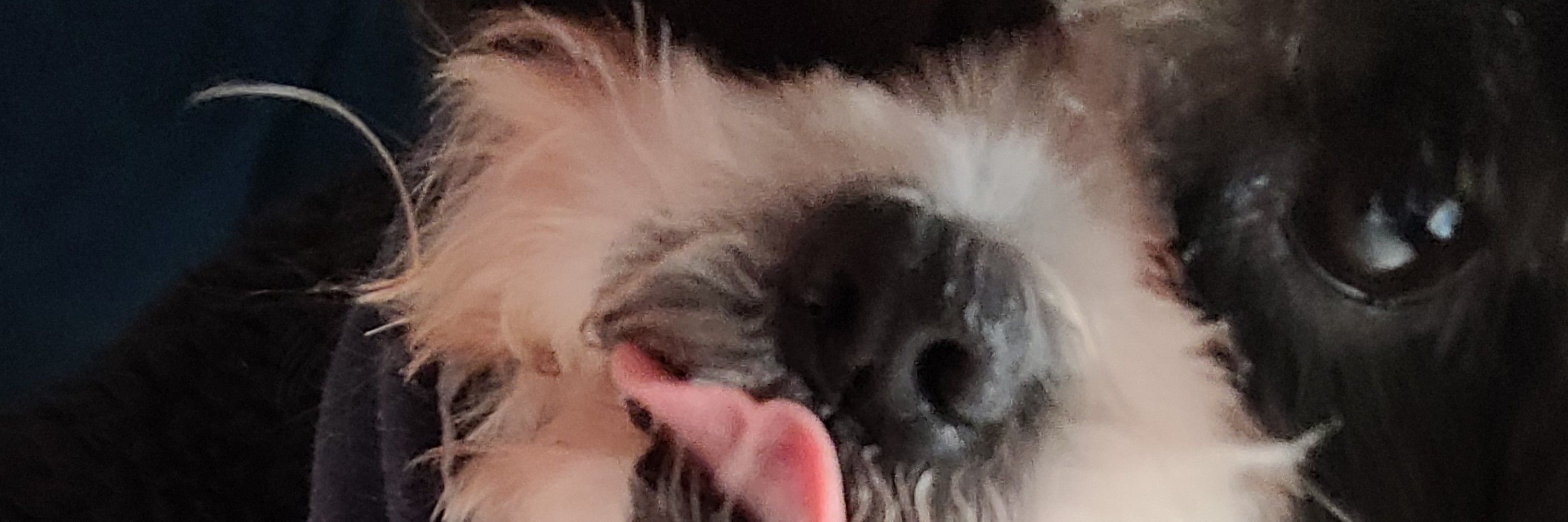 cristina