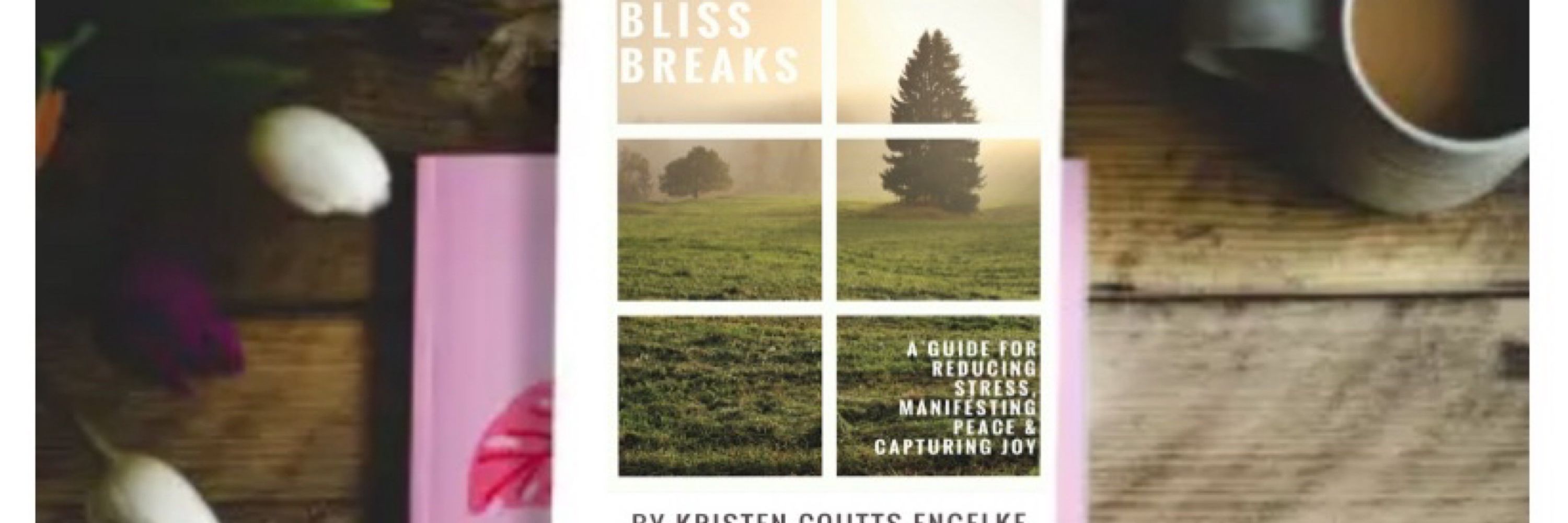 Bliss Breaks