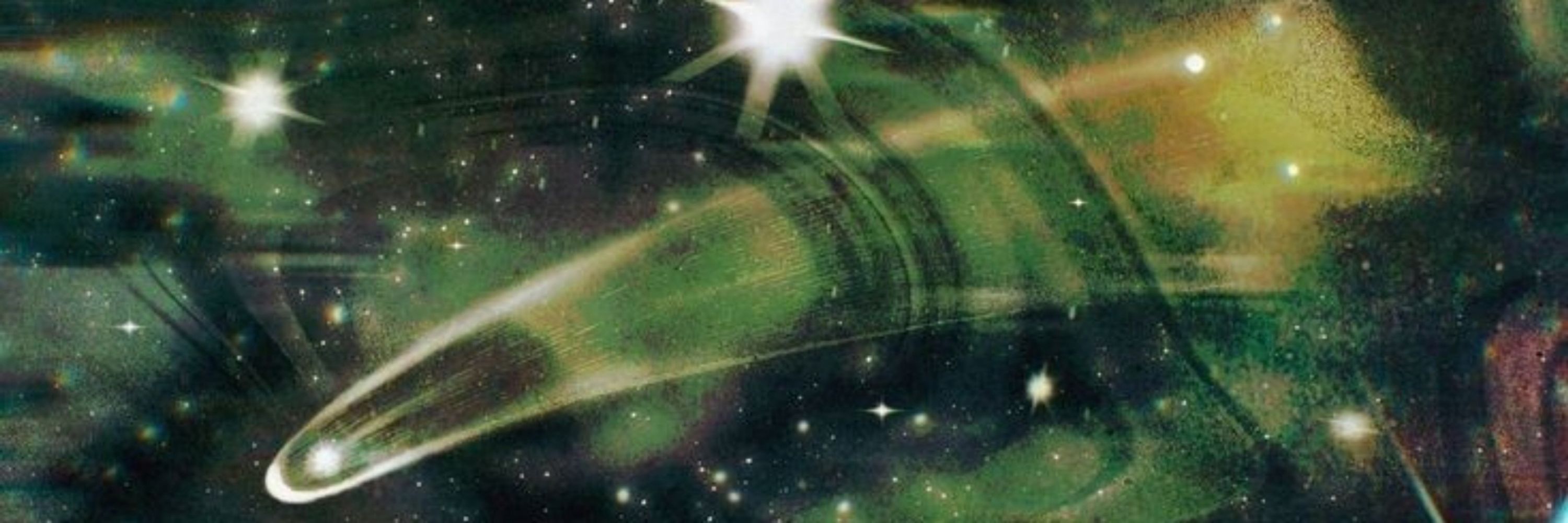 ⌗ !! ꒰ THE Green Witch ꒱ 🍃