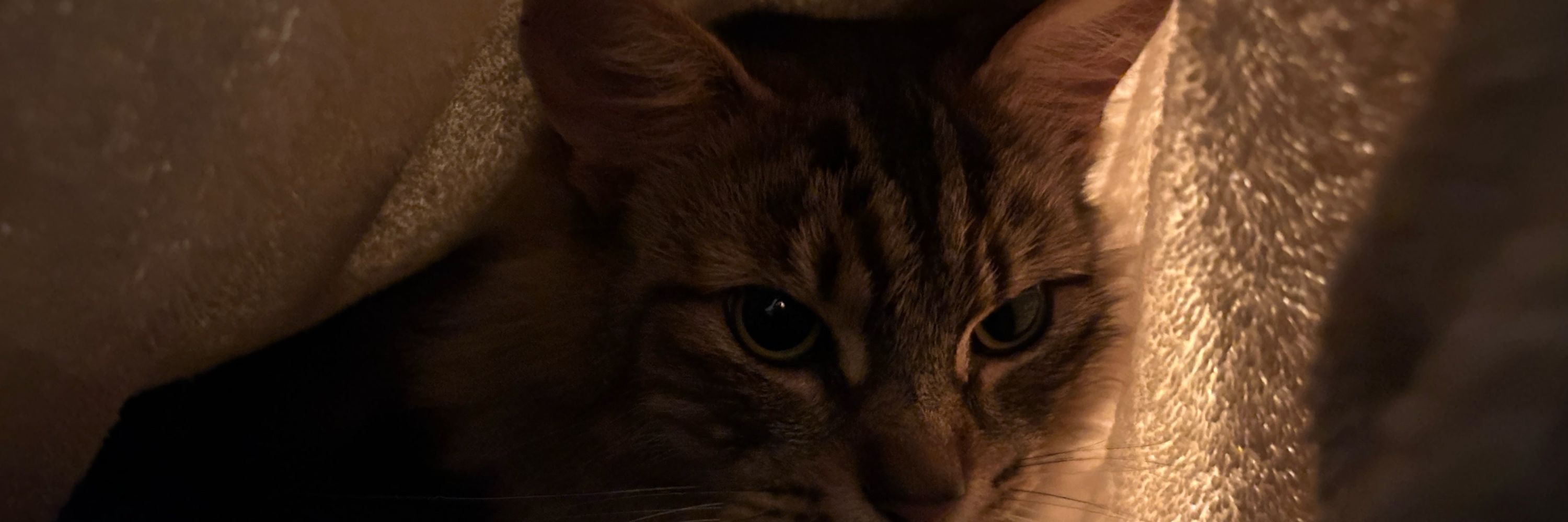 ket