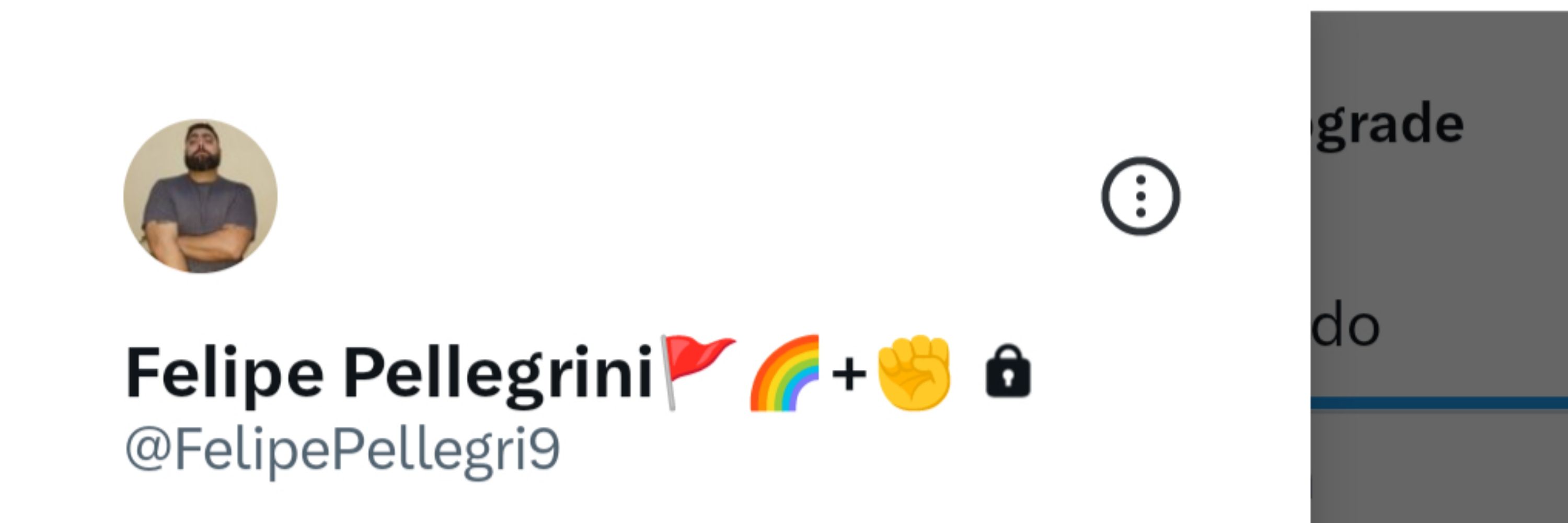 Felipe Pellegrini 🚩